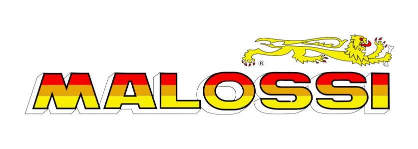 Malossi-logo-.svg-removebg-preview