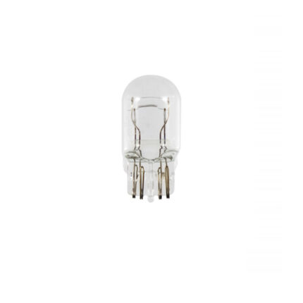Sijalica 12V 21/5W ubodna RMS