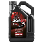 300V2 4T 10W50 4L