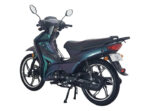 Motovene trenta kameleon 48 cm3 1,9 kw - Slika 5