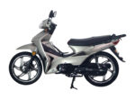 Motovene trenta zlatna 48 cm3 1,9 kw - Slika 6